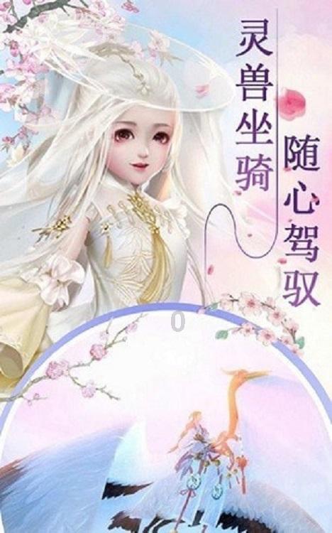 完美的收藏品